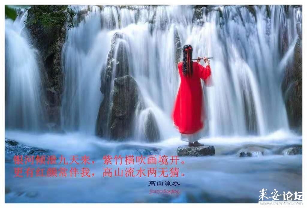 探寻吉鹿力问答社区,解锁能用英语怎么说呢?的奥秘